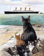 Then TitanicCat looking as the ship leaves port without her.
